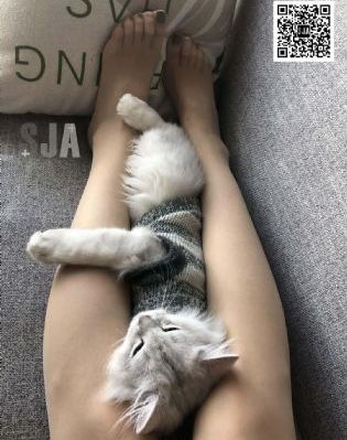 久久久久精品亚洲av梦乃爱华_1080手机免费观看完整