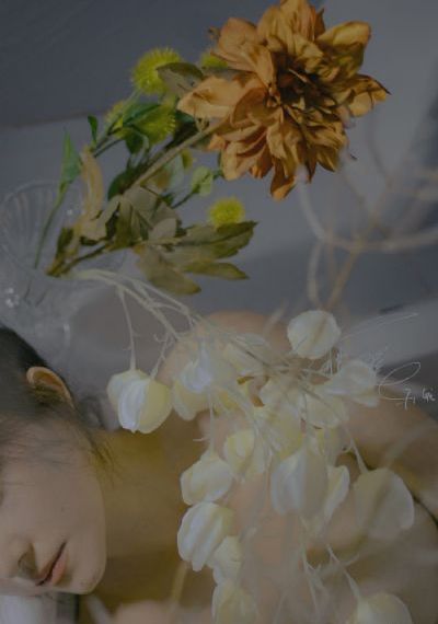 欧美avv_720高清电影在线