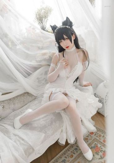 野花社区免费资源在线观看_BD免费高清观看